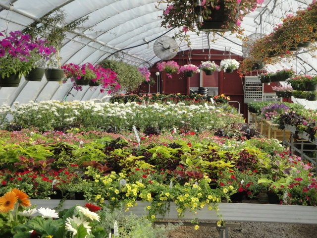 Redbud Creek Farm Garden Center Home